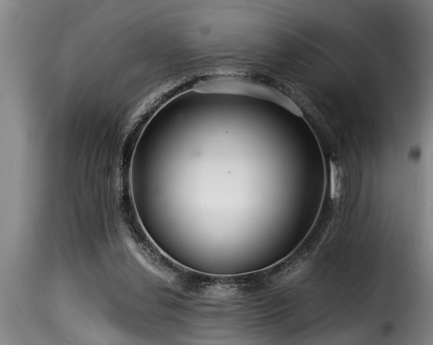 X0000116000252200911191431