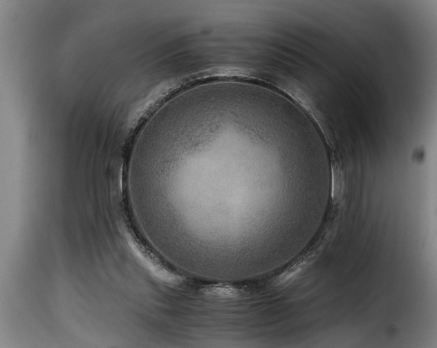 X0000116000253200911191431