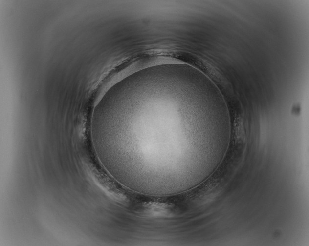 X0000116000255200911191431