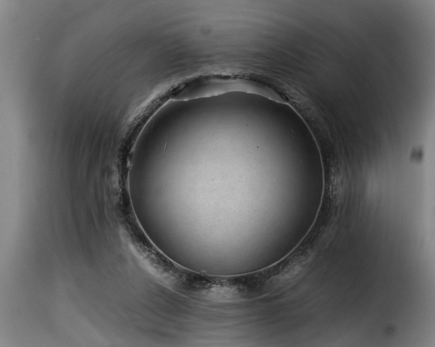 X0000116000256200911191431