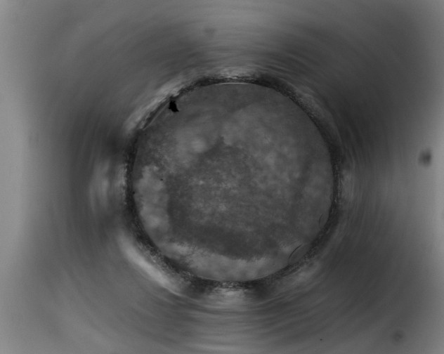 X0000116000260200911191431