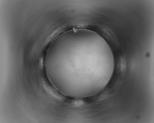 X0000116000262200911191431