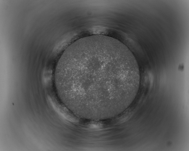 X0000116000263200911191431