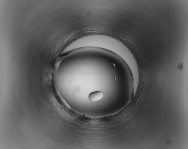 X0000116000264200911191431