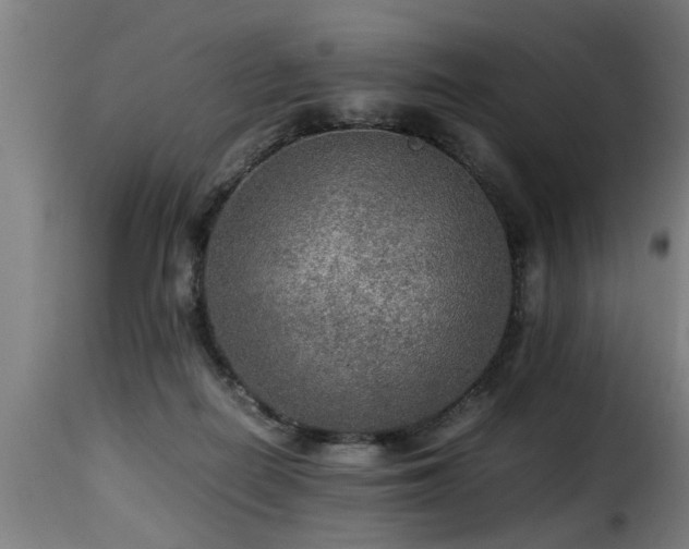 X0000116000266200911191431