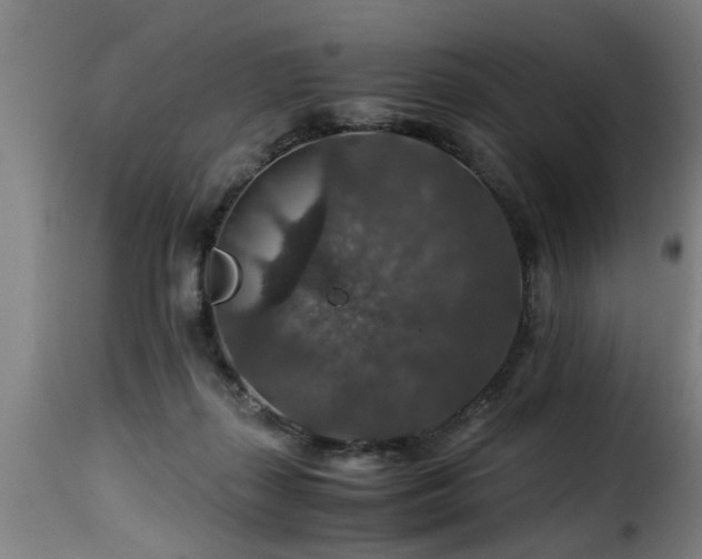 X0000116000267200911191431