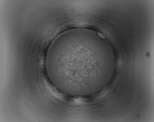 X0000116000268200911191431