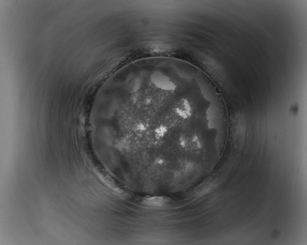 X0000116000269200911191431