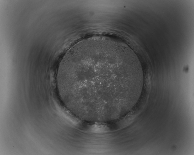 X0000116000270200911191431