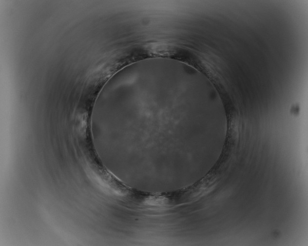 X0000116000271200911191431