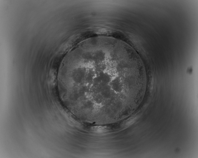 X0000116000273200911191431