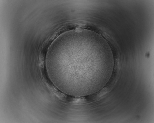 X0000116000274200911191431