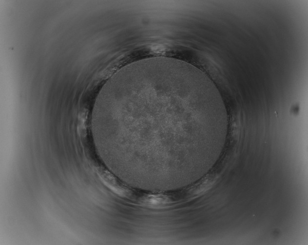 X0000116000275200911191431