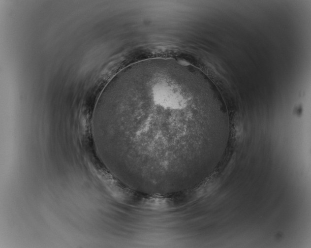 X0000116000276200911191431