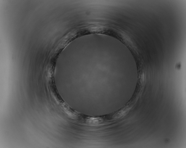 X0000116000277200911191431