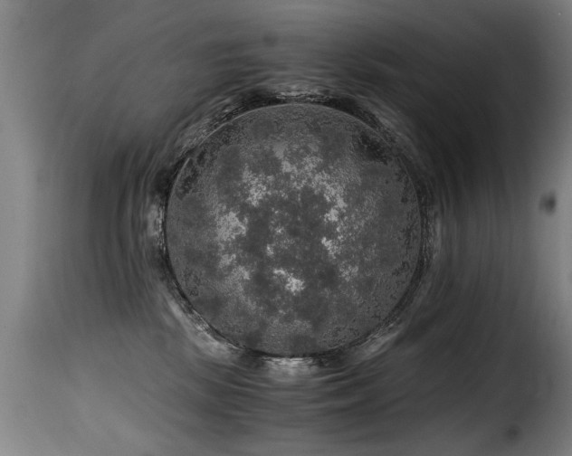 X0000116000281200911191431