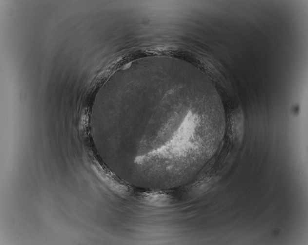 X0000116000284200911191431