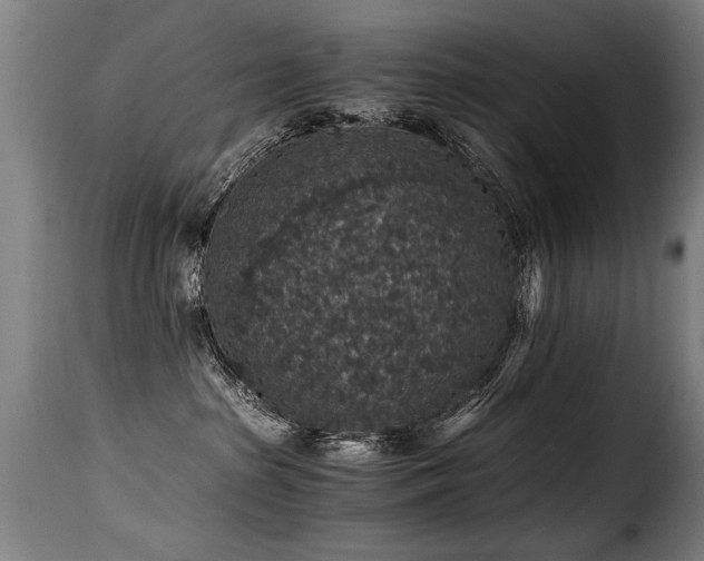 X0000116000285200911191431