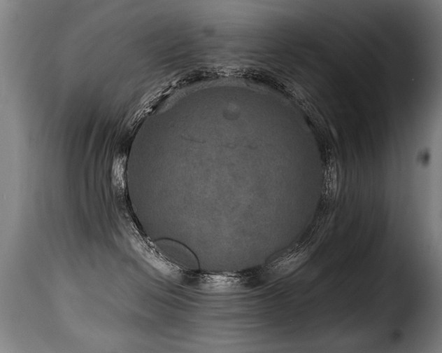 X0000116000286200911191431