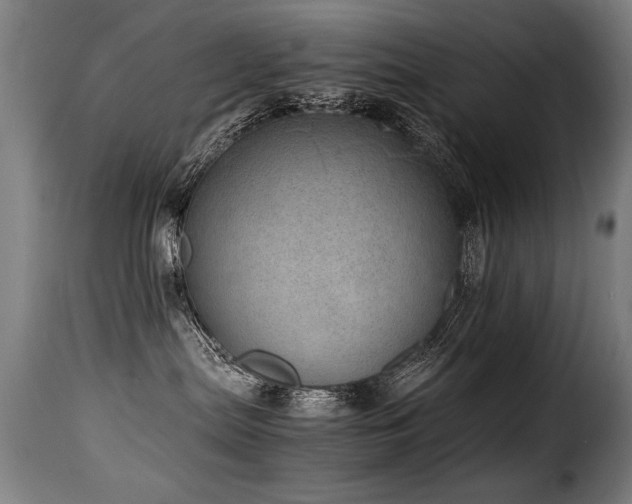 X0000116000287200911191431