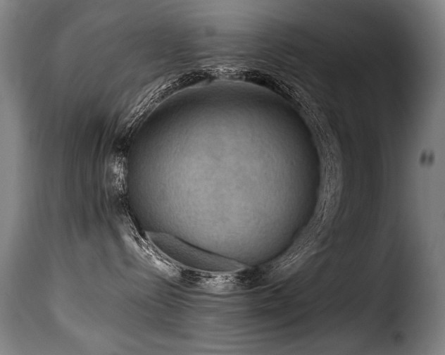 X0000116000288200911191431