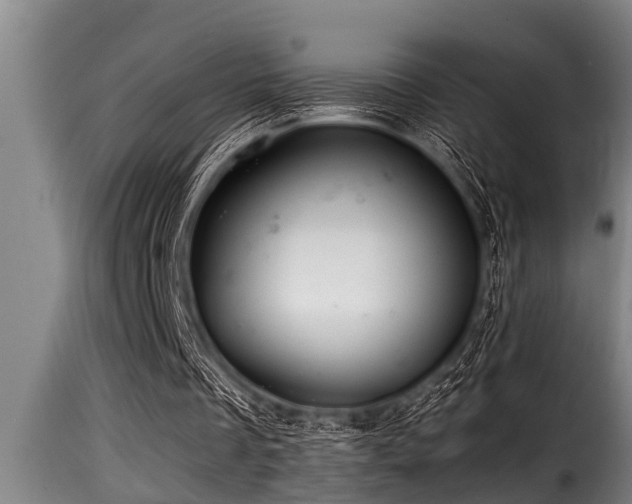 X0000116000289200911191431