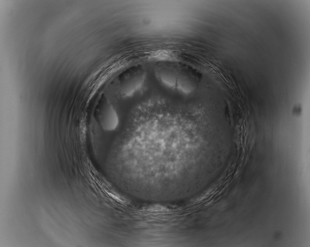 X0000116000290200911191431