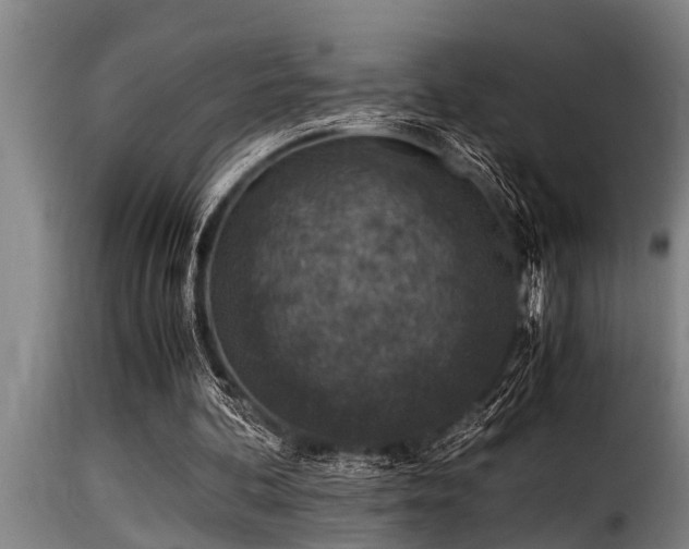 X0000116000292200911191431