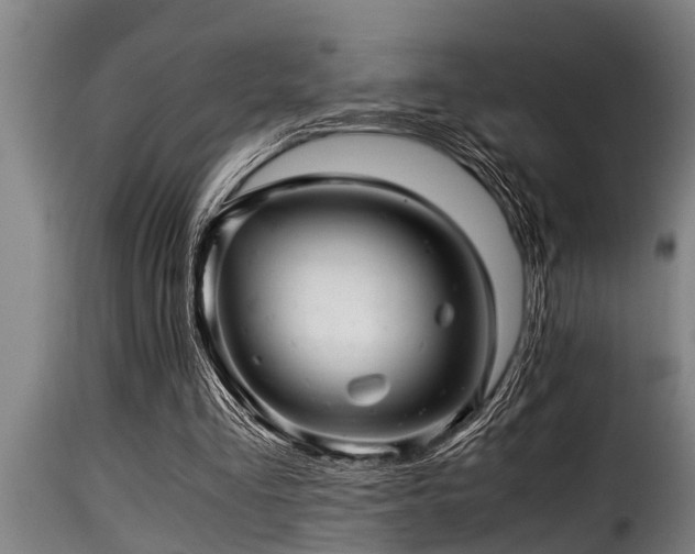 X0000116000293200911191431