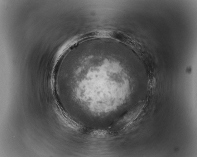 X0000116000294200911191430