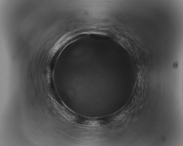 X0000116000295200911191430