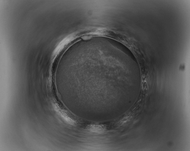 X0000116000296200911191430