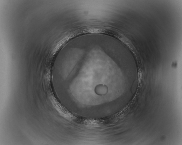 X0000116000297200911191430