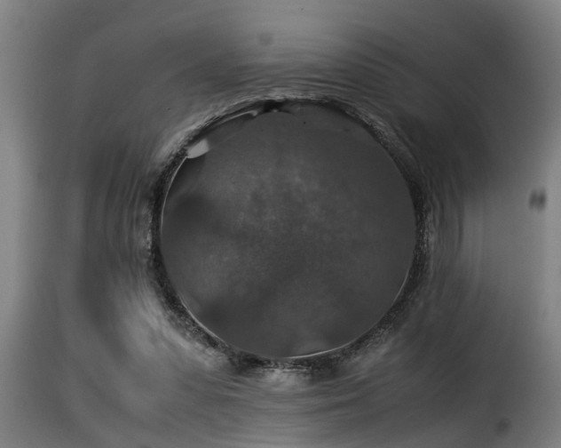 X0000116000303200911191430