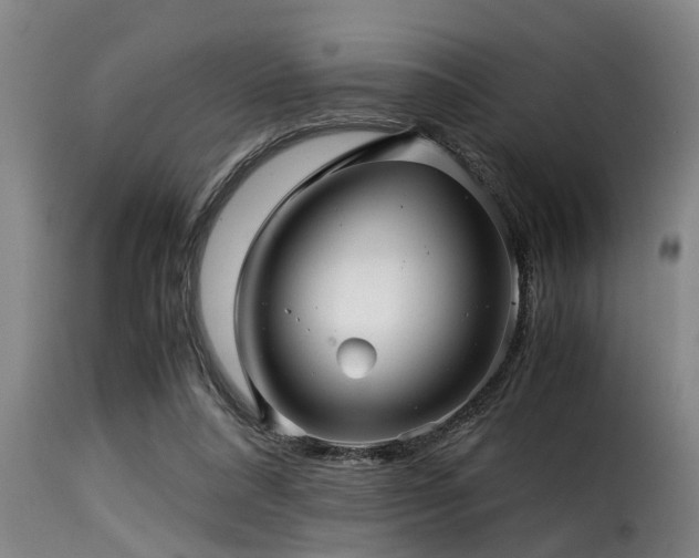 X0000116000304200911191430