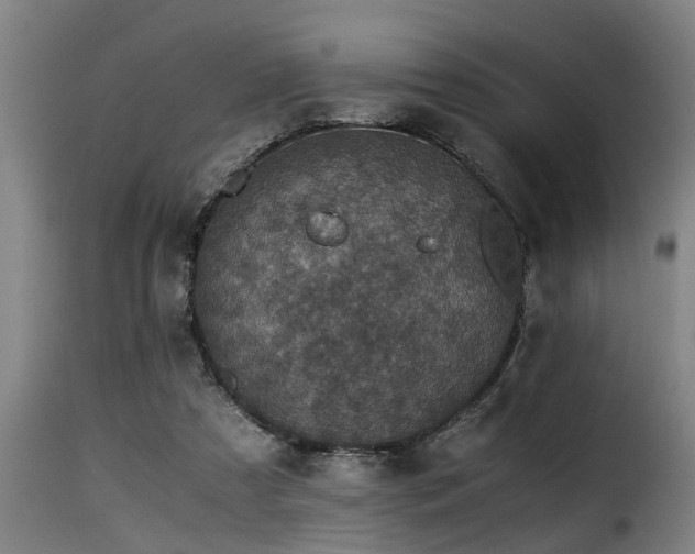 X0000116000305200911191430