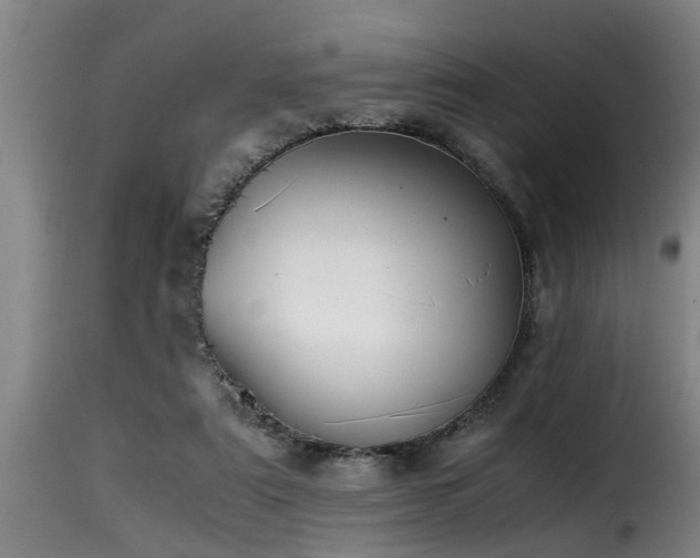 X0000116000307200911191430