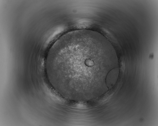 X0000116000308200911191430