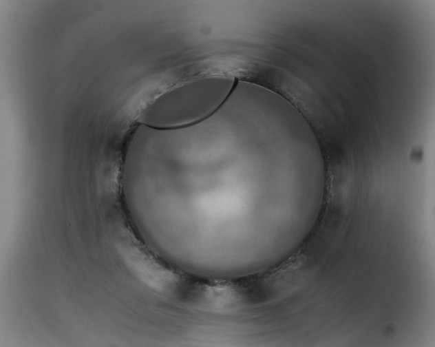 X0000116000309200911191430