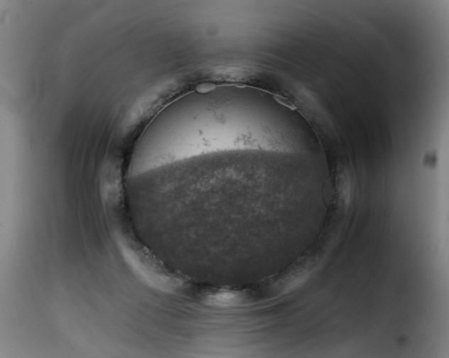 X0000116000312200911191430