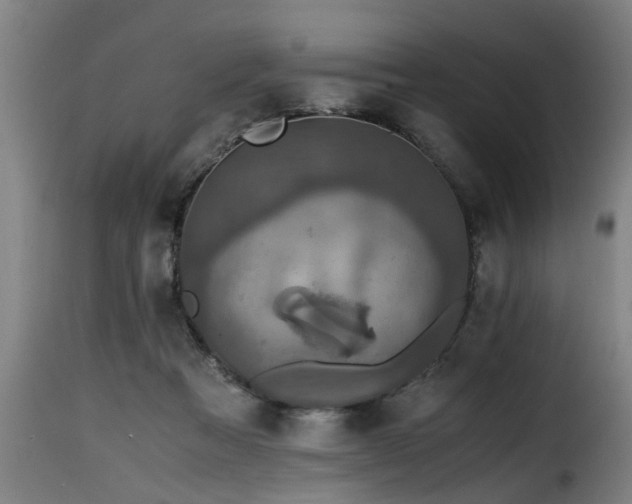 X0000116000313200911191430