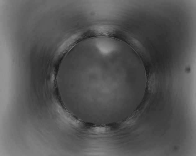 X0000116000314200911191430