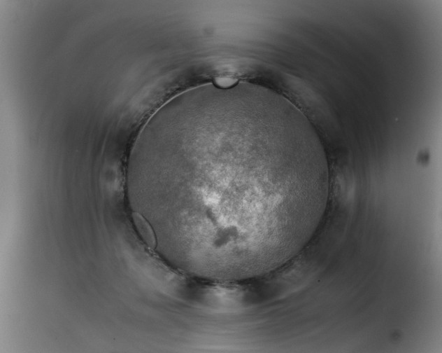 X0000116000317200911191430