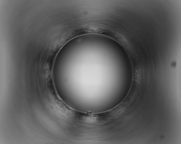 X0000116000318200911191430