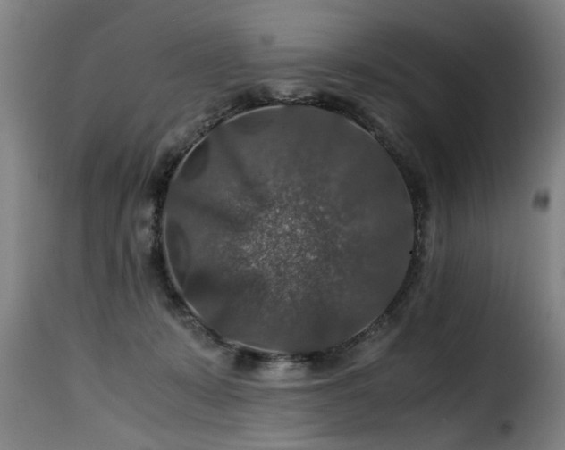 X0000116000319200911191430