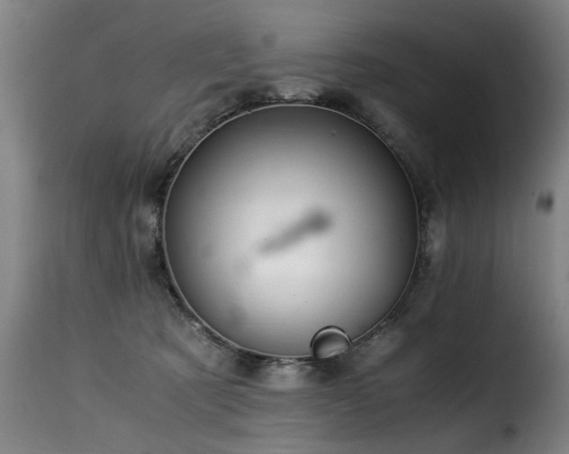 X0000116000321200911191430