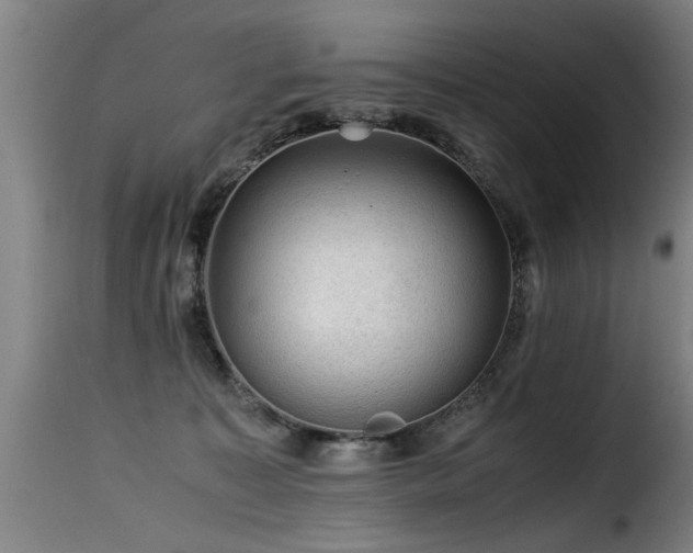 X0000116000323200911191430