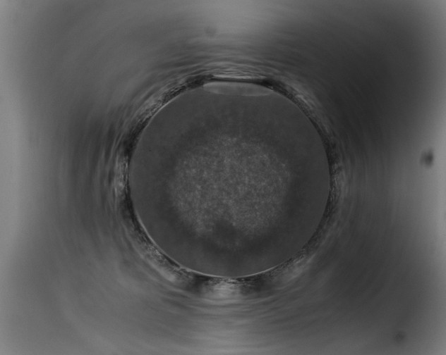 X0000116000325200911191430