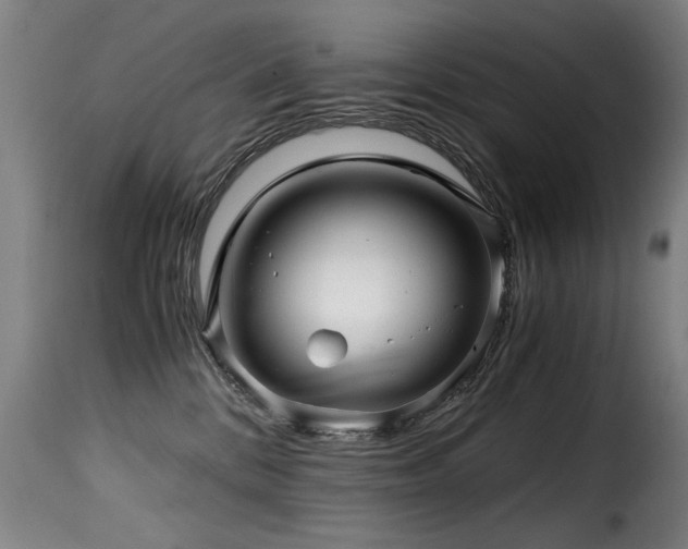 X0000116000328200911191430