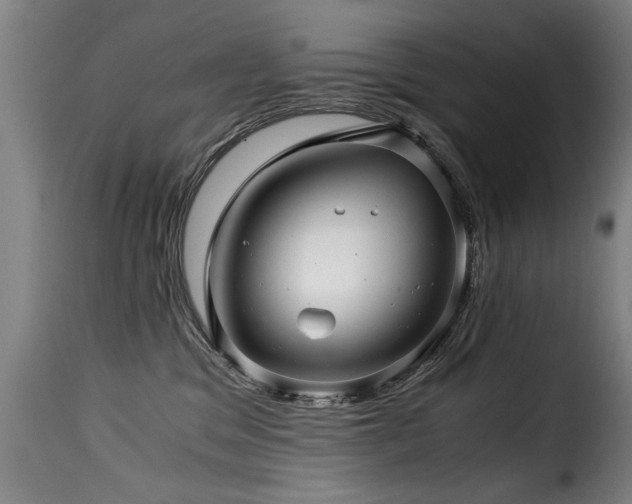 X0000116000329200911191430